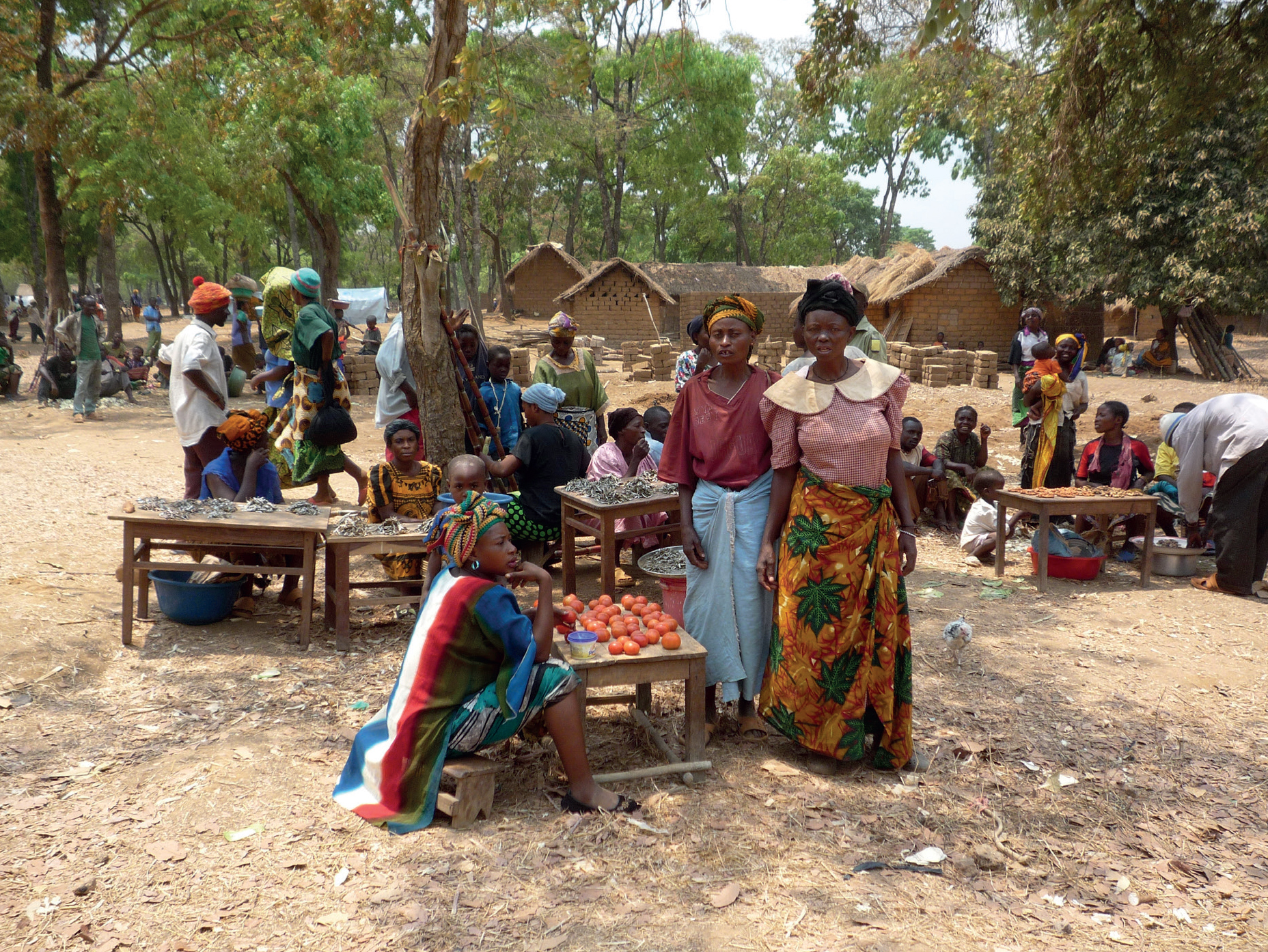 Congolese women selling dried fish and vegetables in the Nyarugusu refugee camp - photo 9