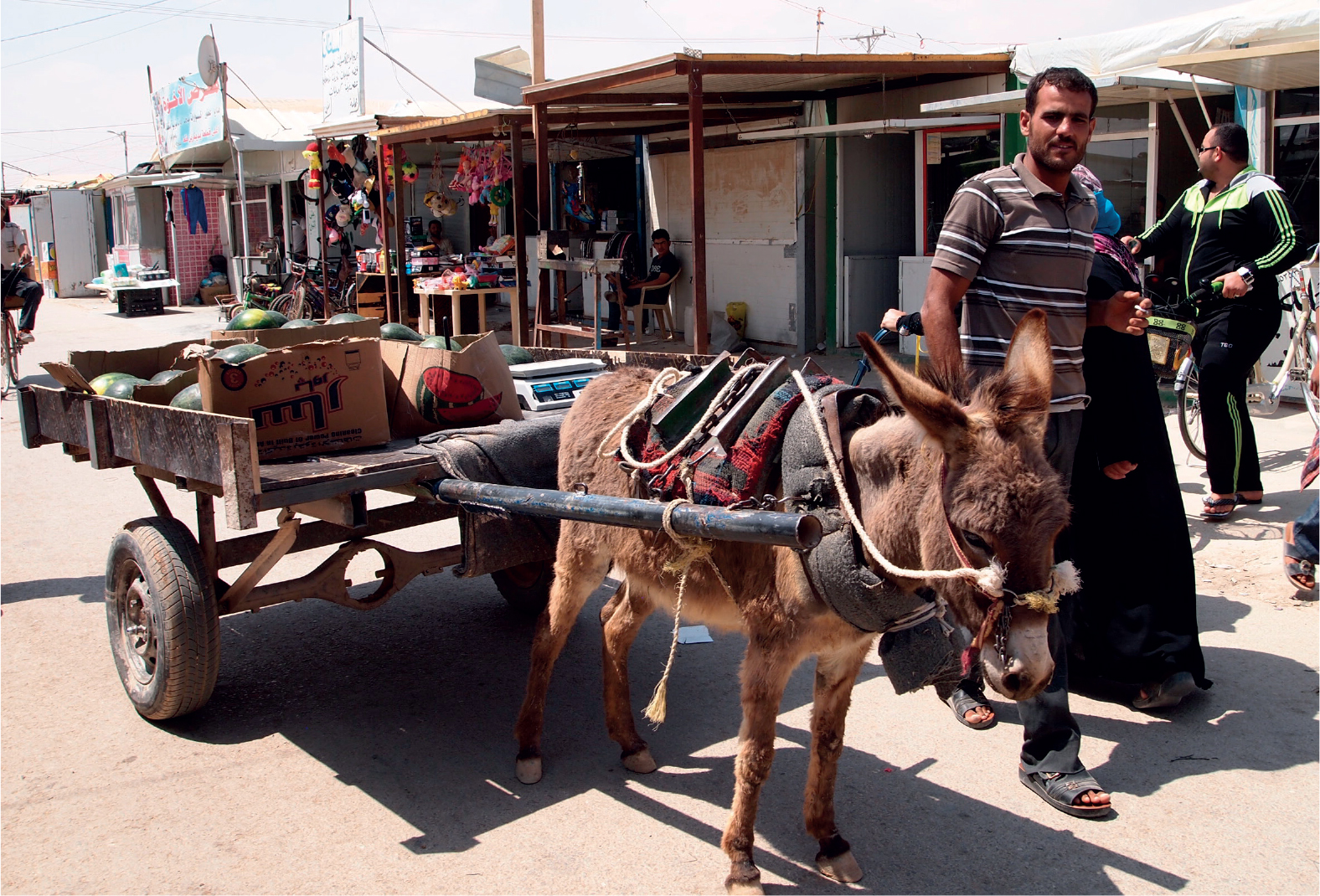 The Shams-lyses market street in Zaatari refugee camp in Jordan Its name is a - photo 11