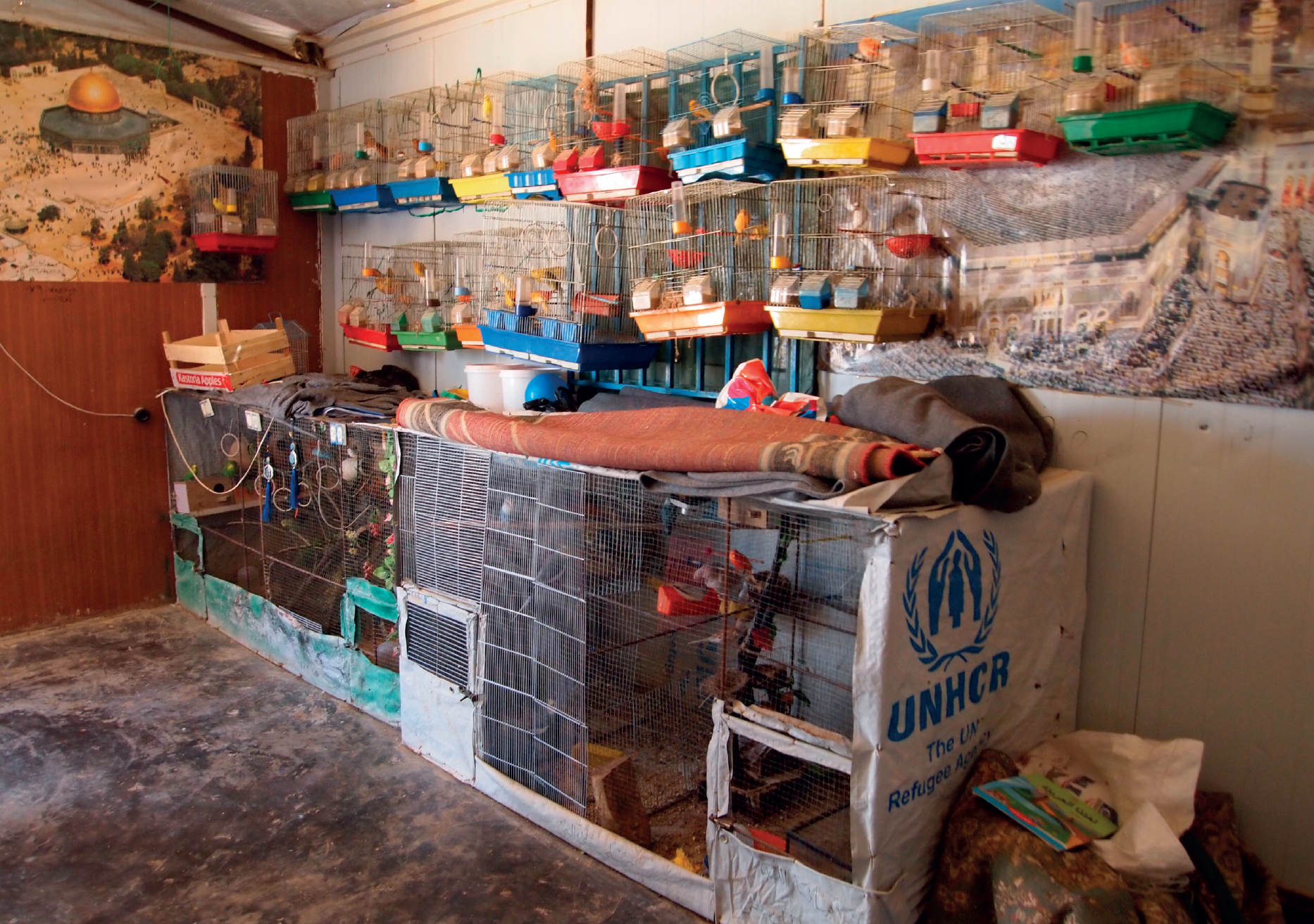 A makeshift bird shop in the home of a Syrian family in the Zaatari refugee - photo 12