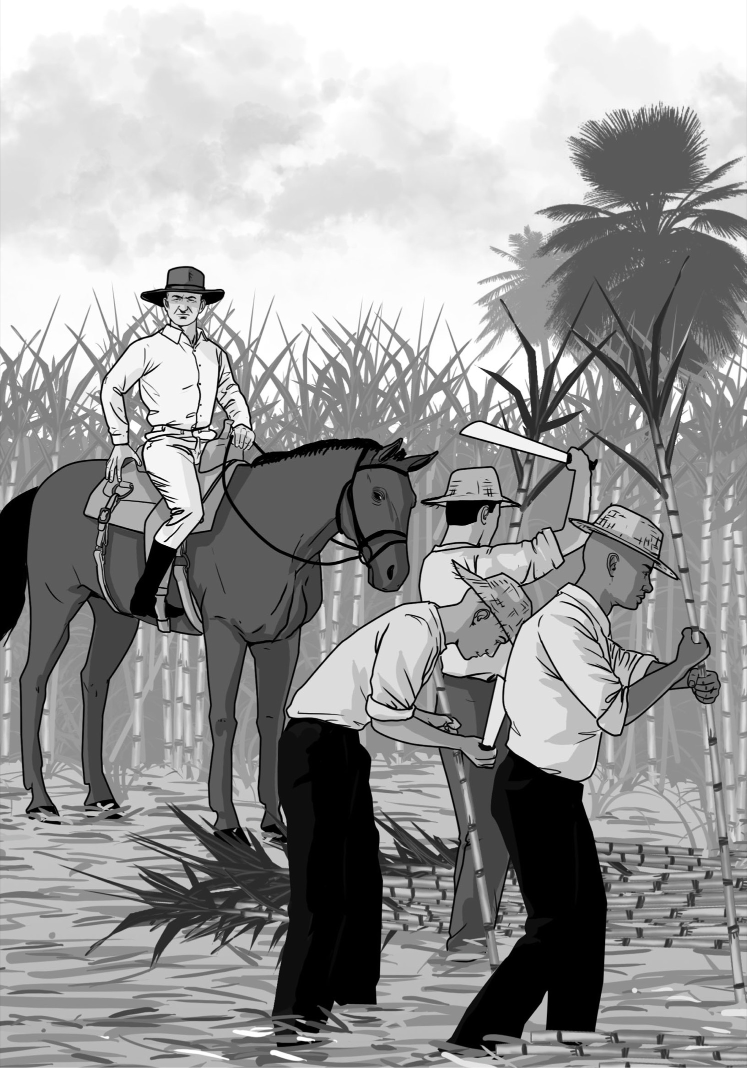 The sugar cane plantation where Fidel grew up was called Las Manacas It was - photo 8
