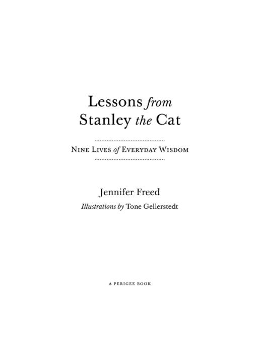 Table of Contents PRAISE FOR Lessons from Stanley the Cat Lessons from - photo 1