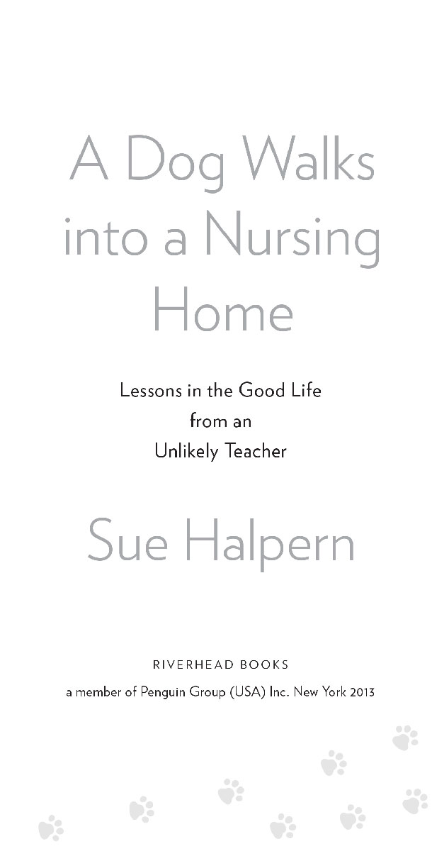 A dog walks into a nursing home lessons in the good life from an unlikely teacher - image 2