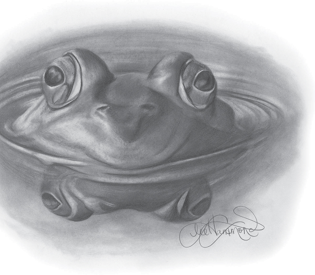 Frog Graphite on smooth bristol 14 11 36cm 28cm CHAPTER ONE GRAPHITE - photo 7