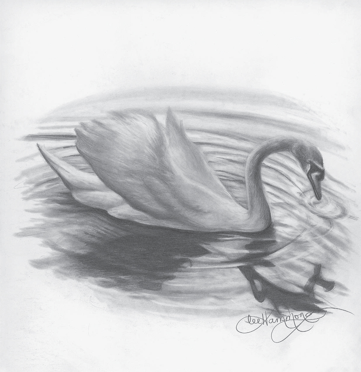 Swan Graphite on smooth bristol 14 11 36cm 28cm Part One GRAPHITE There - photo 6