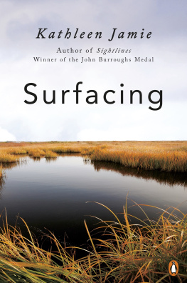 Jamie - Surfacing