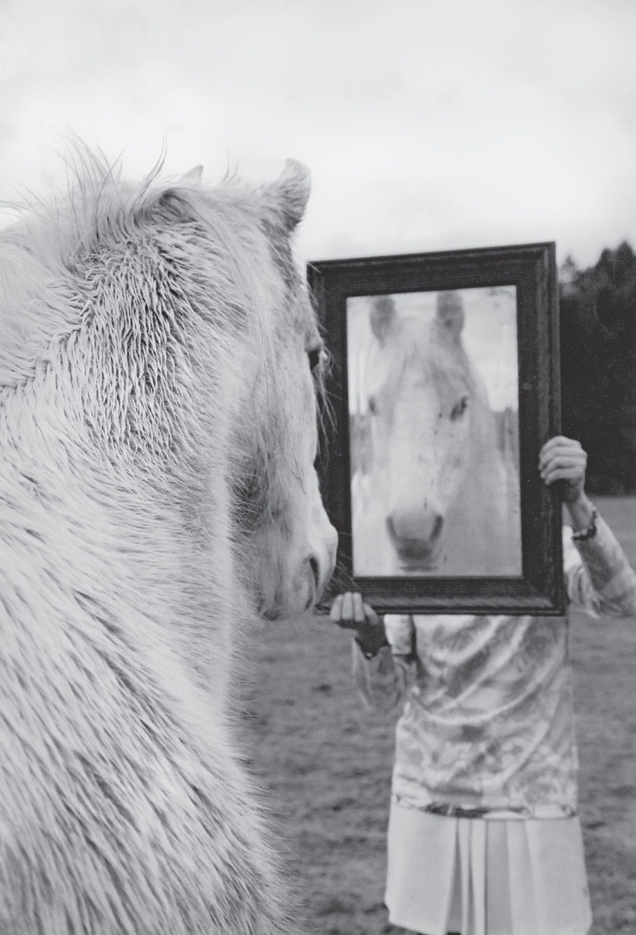 Ulrich Raulff FAREWELL TO THE HORSE The Final Century of Our Relationship - photo 1