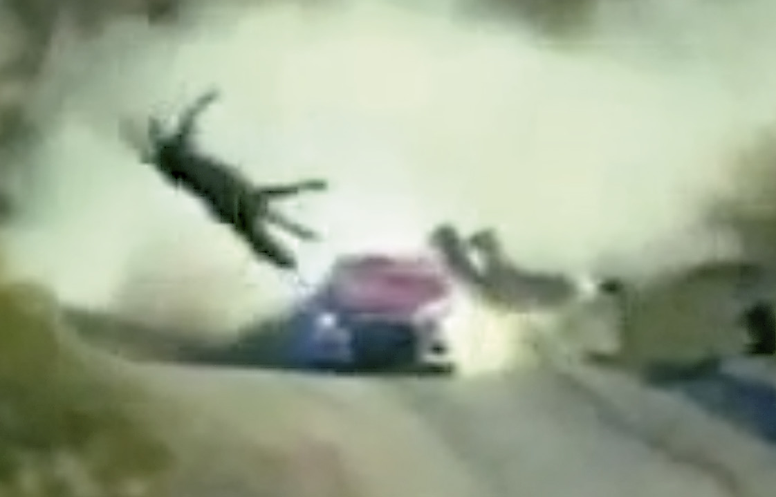 A car collides with a herd of horses Anon Car crash video on YouTube - photo 12