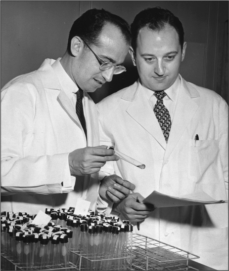 Jonas Salk and Julius Youngner discussing polio vaccine safety test results - photo 10