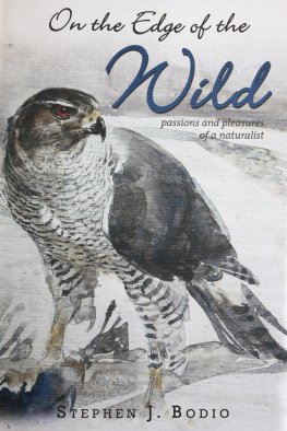 Bodio On the Edge of the Wild: Passions and Pleasures of a Naturalist