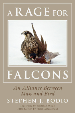 Bodio Stephen - A rage for falcons: an alliance between man and bird