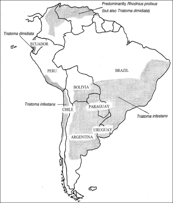 Geographical distribution of Chagas disease vectors in Latin America Source - photo 6