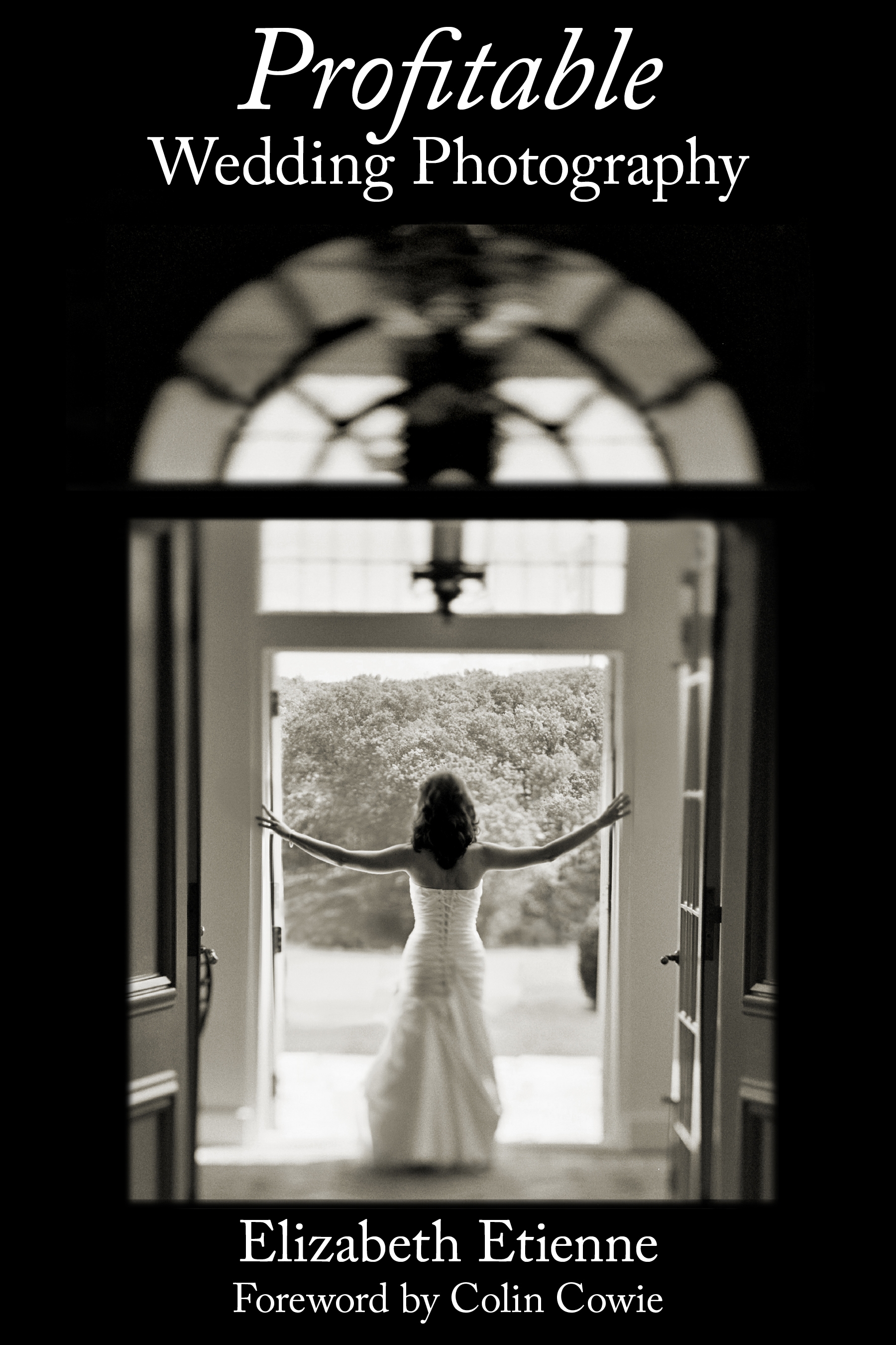 Profitable Wedding Photography - image 1