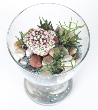 Skyhorse Glass gardens easy terrariums aeriums and aquariums for your home or office - image 6