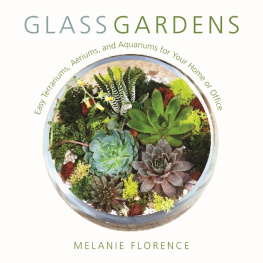 Florence - Skyhorse Glass gardens: easy terrariums, aeriums, and aquariums for your home or office