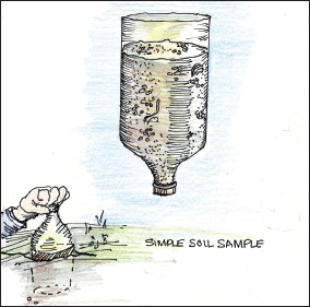 Exploring below the surface Simple Soil Sample Kit Take an empty plastic - photo 5