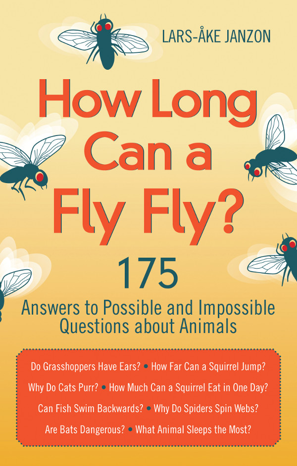 How Long Can a Fly Fly HOW LONG CAN A FLY FLY 175 ANSWERS TO POSSIBLE AND - photo 1