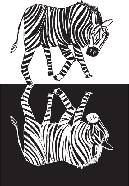 COLORS Are zebras white with black stripes or black with white stripes For - photo 6