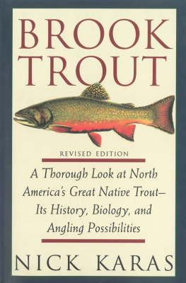 Karas Brook Trout