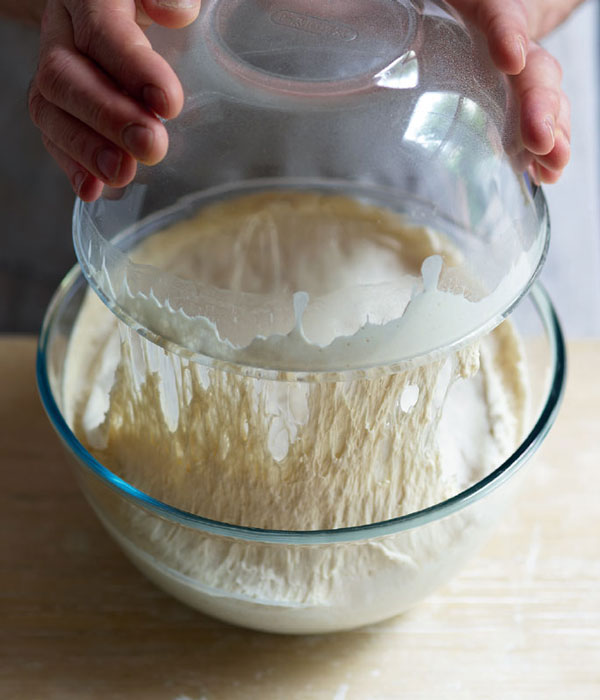 HOW TO MAKE SOURDOUGH 45 recipes for great-tasting sourdough breads that are - photo 2