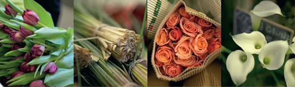 BUYING FLOWERS When youre shopping for flowers you want fresh blooms that will - photo 9