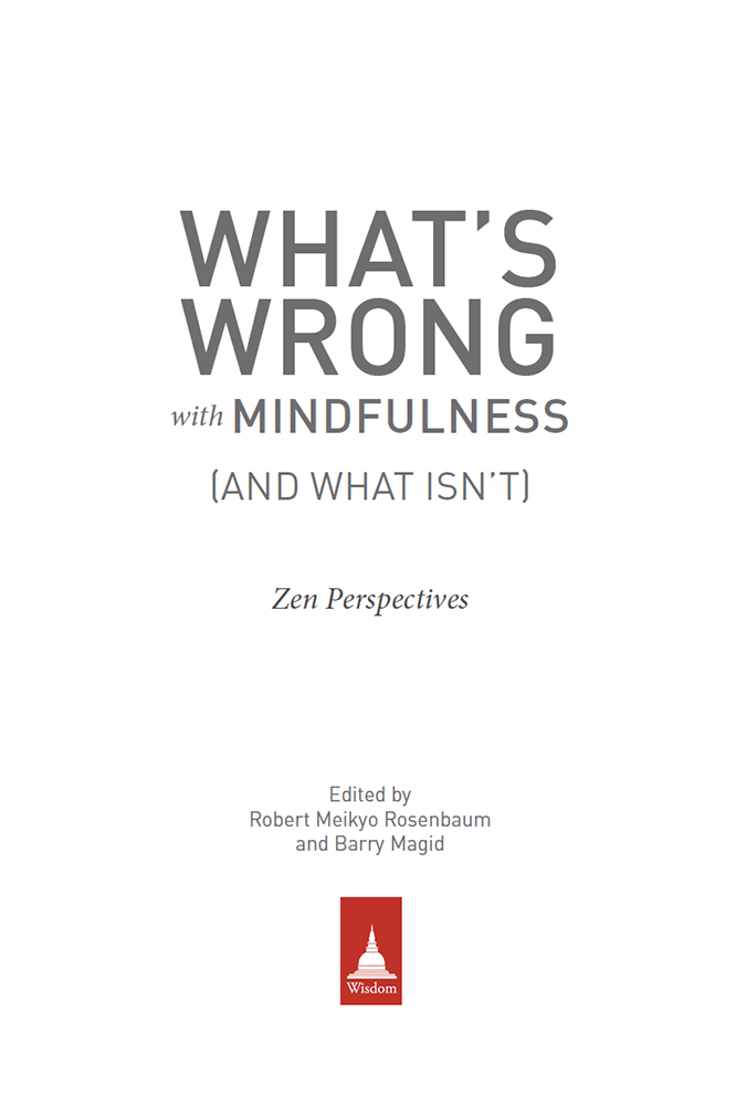 ARTICULATE AND COURAGEOUS THIS BOOK EXPANDS OUR UNDERSTANDING OF MINDFULNESS - photo 2