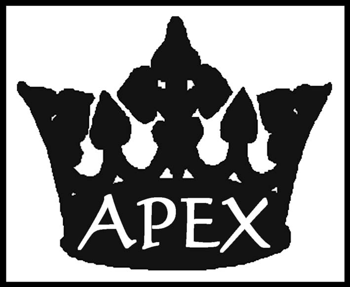 Publisher Information Apex Publishing Ltd PO Box 7086 Clacton on Sea - photo 2