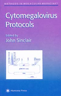 title Cytomegalovirus Protocols Methods in Molecular Medicine 33 - photo 1