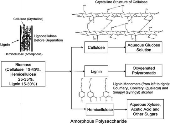 Fig 11 Schematic structure of wood cells reprinted with permission from Ref - photo 1