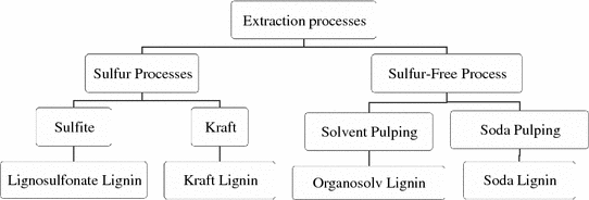 Fig 12 Various lignin extraction processes and their dominant products - photo 2