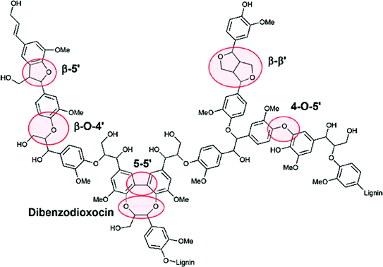 Fig 13 A fraction of lignin model structure reprinted with permission from - photo 3