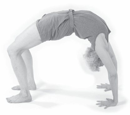 Preface I t is paradoxical that yoga thousands of years old and originating - photo 7