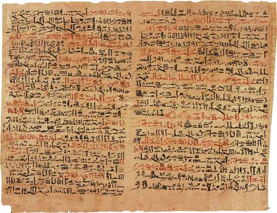 Fig 11 Ebers Papyrus book of the heart Egypt c 3000 BC Fig 12 - photo 1