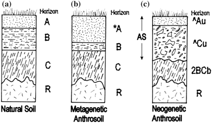 Fig 11 Mechanisms of anthropogenic soil formation a natural soil profile - photo 1