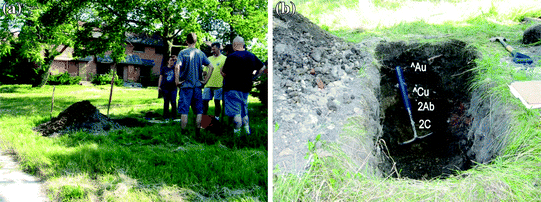 Fig 12 Profile of neogenetic anthrosoil at former demolition site a previous - photo 2