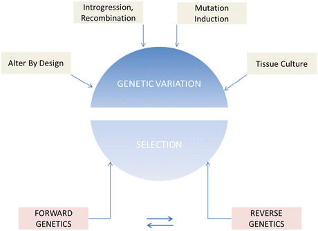 Fig 11 Crop improvement strategies based on the generation and harnessing of - photo 1