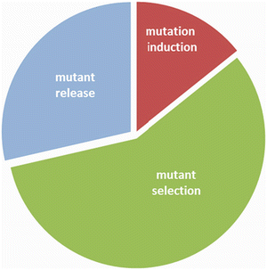 Fig 12 A three-step mutation breeding scheme for direct release of improved - photo 2