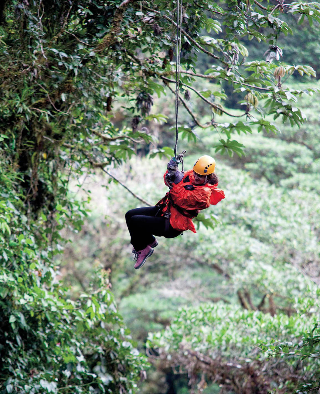Tarzan swing in Selvatura Park Corrie WingateApa Publications Since 1994 - photo 4
