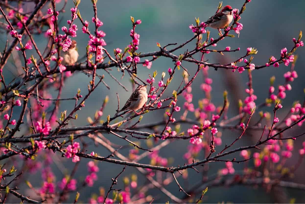 Top Attraction 7 Getty Images Birdwatching Over 670 species of birds have been - photo 10