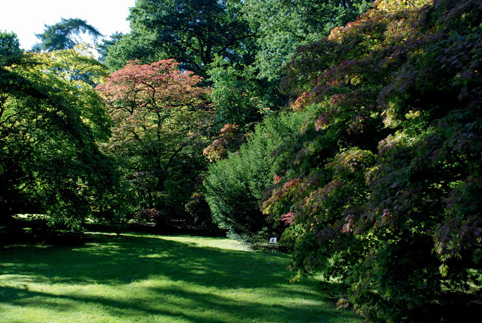 Westonbirt The National Arboretum for more information The stunning - photo 7