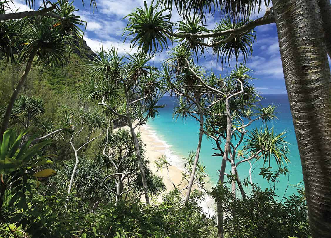 Seaside Fun For the best beaches those that dot Hawaiis coast like pink - photo 10