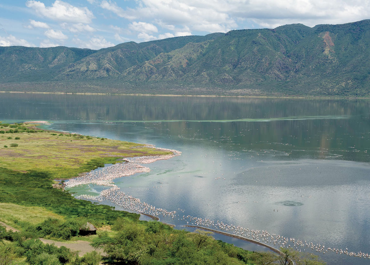 Lesser flamingos on Lake Bogoria Ariadne Van Zandbergen Culturally Kenya is - photo 4