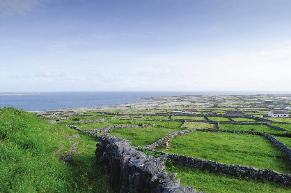 A patchwork of small fields on Inishmaan Other small uninhabited islands - photo 5