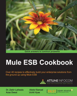 Desai Azaz Mule ESB Cookbook