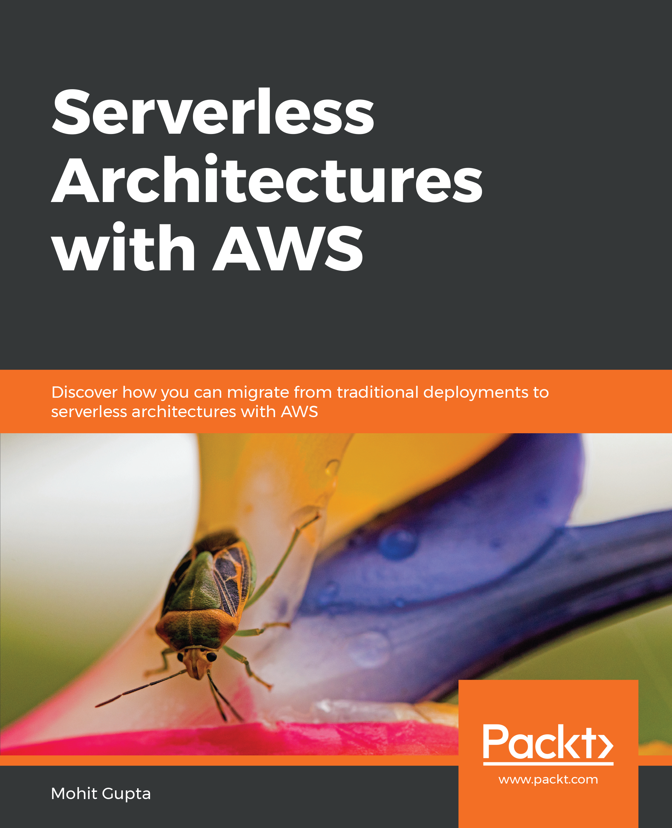 Serverless Architectures with AWS Discover how you can migrate from traditional - photo 1