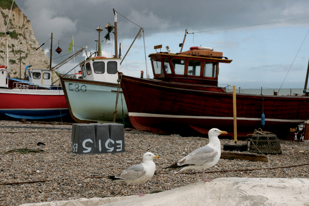 The fishing village of Beer in Devon England Picturesque but what if you - photo 7