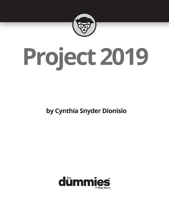 Project 2019 For Dummies Published by John Wiley Sons Inc 111 River - photo 2