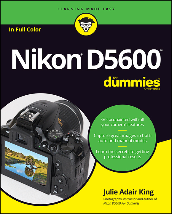 Nikon D5600 For Dummies Published by John Wiley Sons Inc 111 River - photo 1