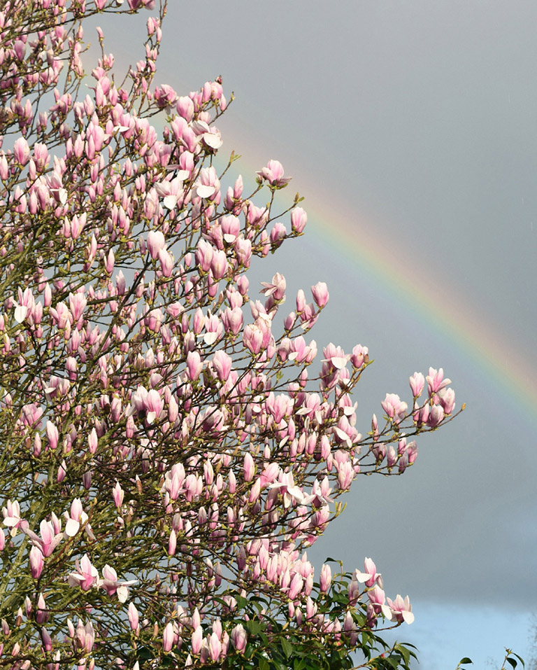 For eight or nine months of the year rain falls regularly west of the - photo 7