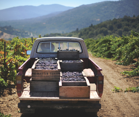 Introduction I hear you hate California wine The spokeswoman for one of the - photo 6