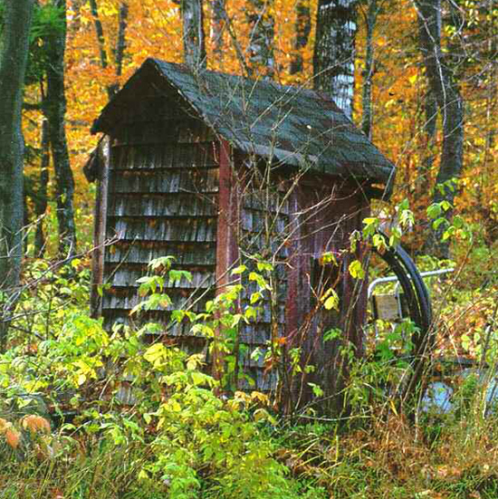 Dottie Booth Outhouses are IN Finally T here has been a growing - photo 9